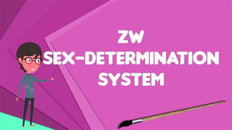 What Is Zw Sex Determination System Explain Zw Sex Determination System Youtube