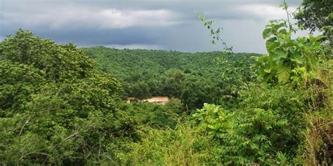 Jharkhand Forests ~ Siva Travelogue