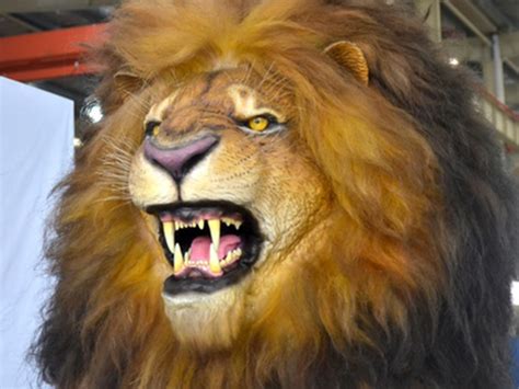 Animatronic Lion Model Manufacturer Wow Experience