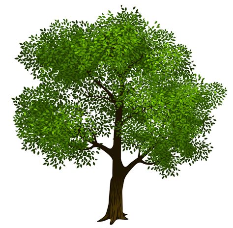 Tree Clipart Clip Art Image Library