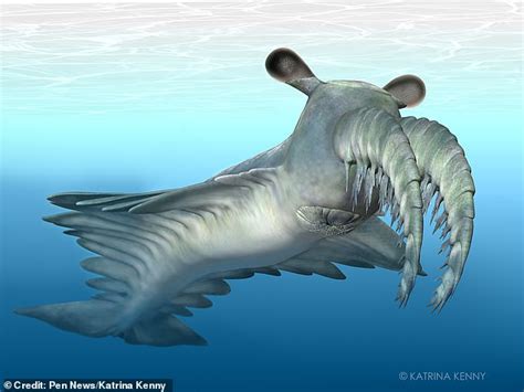 Bizarre Sea Beast Sparked A Prehistoric Arms Race 500m Years Ago