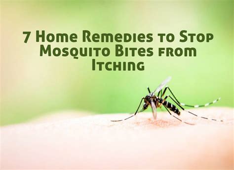 How To Stop Mosquito Bites From Itching With These Home Remedies