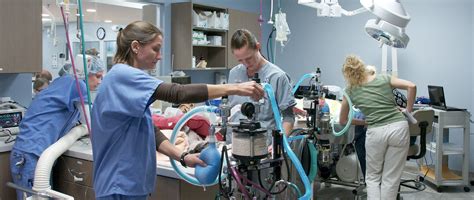 Maybe you would like to learn more about one of these? Why Choose Us? | Charleston Veterinary Referral Center
