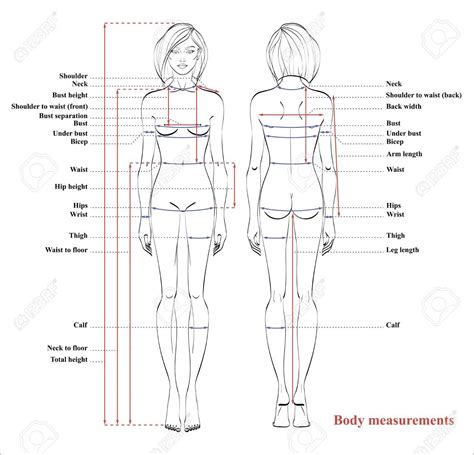 Body diagram form female | … texts 5 body diagrams 5 appendix v … clinical practice guidelines : Stock Vector in 2020 | Body measurement chart, Body measurements, Measurement chart