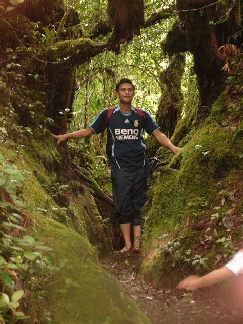 The cameron highlands is a district in pahang, malaysia, occupying an area of 712.18 square kilometres (274.97 sq mi). Ekspedisi Gunung Brinchang Cameron Highlands | Destinasi ...