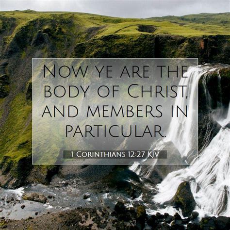 1 Corinthians 1227 Kjv Now Ye Are The Body Of Christ And Members In
