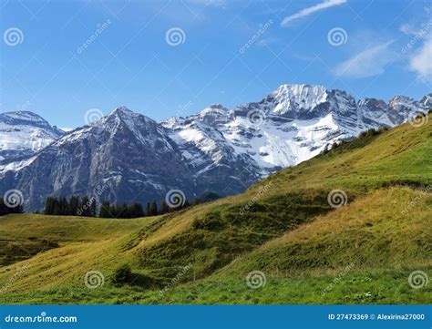 Snowy Peaks And Green Meadows In The Swiss Alps Stock Image Image Of