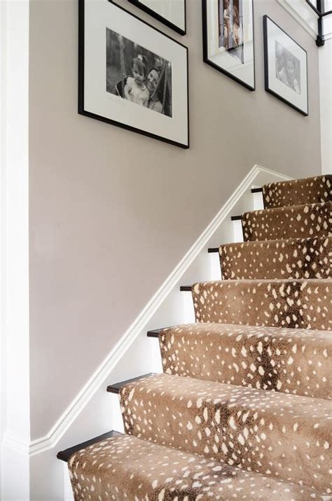 Go Wild 34 Animal Print Ideas For Your Home Digsdigs