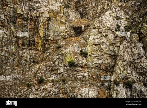 Algae And Moss Covered Cliff Walls Of King Canyon National Park Stock