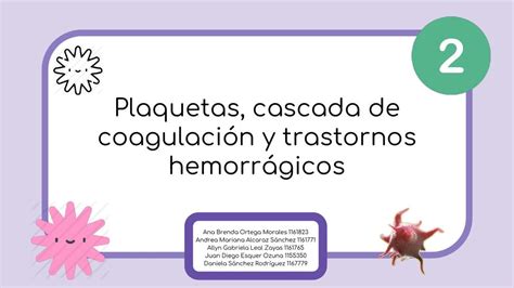 Plaquetas Cascada De Coagulaci N Y Trastornos Hemorragicos Udocz