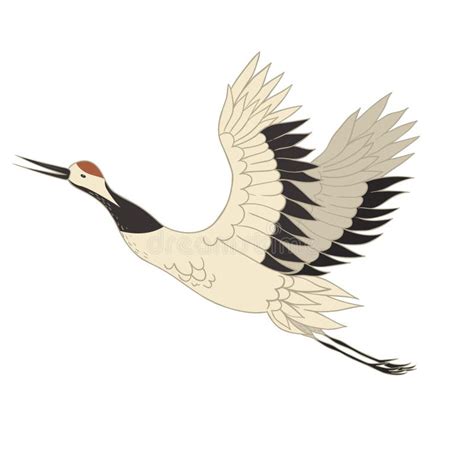 Japanese Crane Bird Isolate On A White Background Vector Graphics