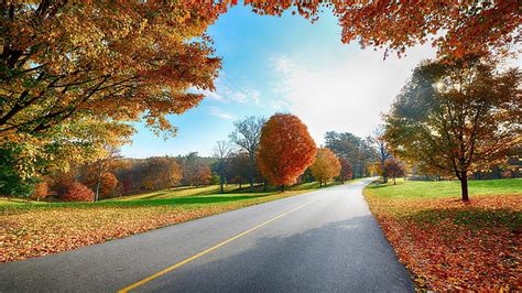 Hd Wallpaper Road Between Trees Digital Wallpaper Markings Autumn