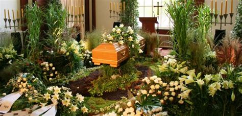 Schon damals im naturwissenschaftlichen studium hatte ich immer ein lieblingsphänomen, das ich ordnung zu hause. Anonyme Bestattung • Was ist das für eine Bestattungsart?