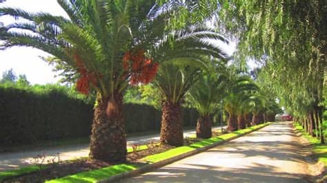 Hermosa casa de gran confort y categoría desarrollada sobre 2 lotes sobre costa de casa en venta belgrano, santiago del estero. Venta Parcela en Calera de Tango, Santiago, Chile - YouTube