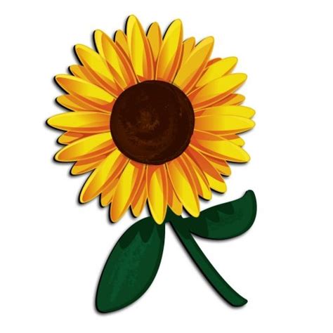 Clipart Sunflower 20 Free Cliparts Download Images On Clipground 2024