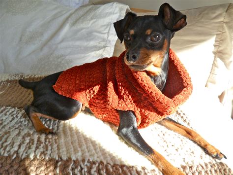 Crocheted Dog Sweater