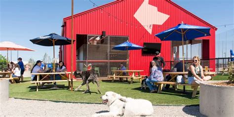 10 Best Dog-Friendly Restaurants in & Around OKC