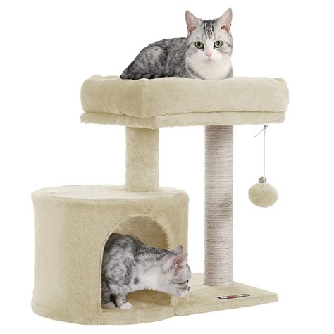 Small Cat Condo For Older Cats Or Kitties