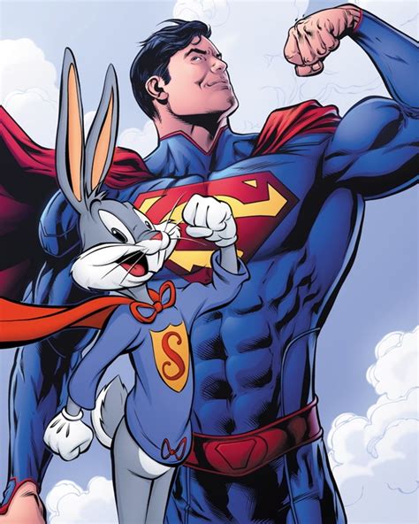 Collection Of 24 Dc Comics Looney Tunes Variant Covers — Geektyrant