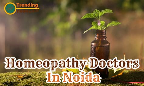 10 Best Homeopathy Doctors In Noida Top Homeopathy Clinics