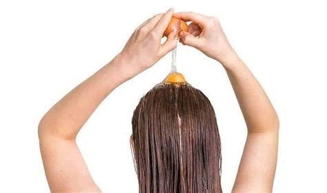 This coconut oil hair treatment is a great conditioner and is perfect for all hair types. Egg Yolk for Hair - Growth, Mask, Loss, Thickening ...