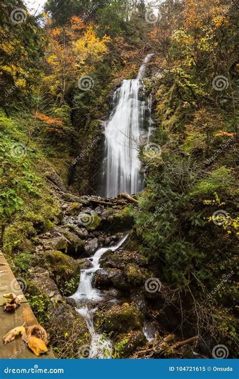 Waterfalls In Autumn Stock Image Image Of Forest Stream 104721615