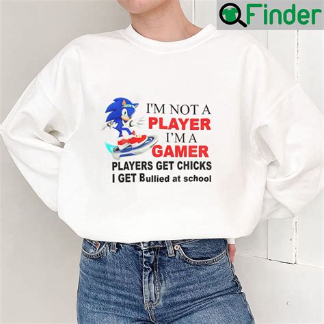 Sonic Im Not A Player Im A Gamer Players Get Chicks I Get Bullied At