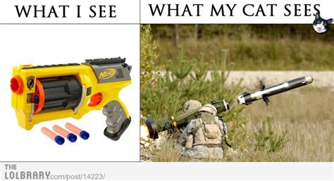 Hj Reviews Funny Nerf Images