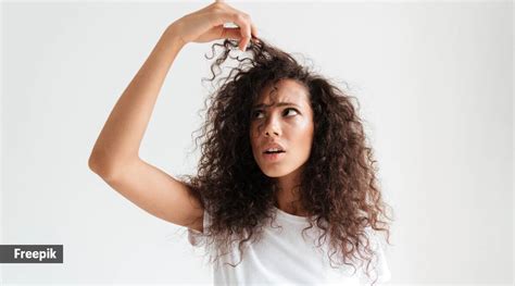 Fight The Frizz With These Haircare Tips Life Style News The Indian