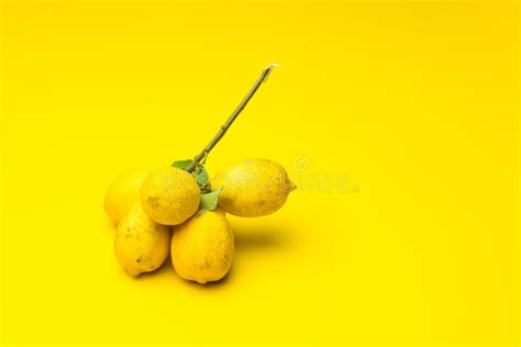 Lemons Rich In Vitamin C Stock Photo Image Of Overhead 174586060