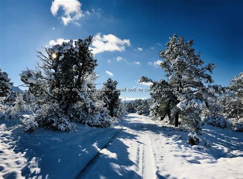 Winter in Prescott Valley, Arizona : GWCOEPBot