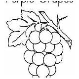 Coloring Grapes Purple sketch template