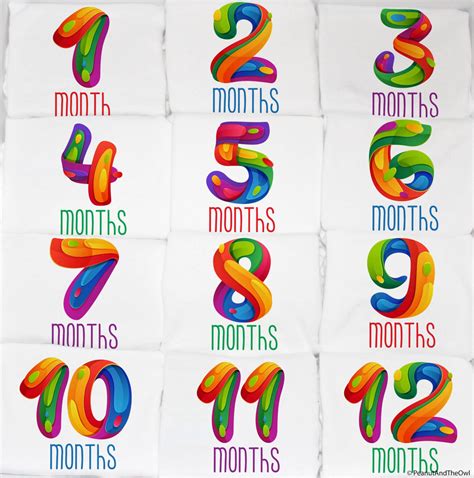 Unique Colorful Numbers Monthly Baby Onesie Set 12 Month Etsy