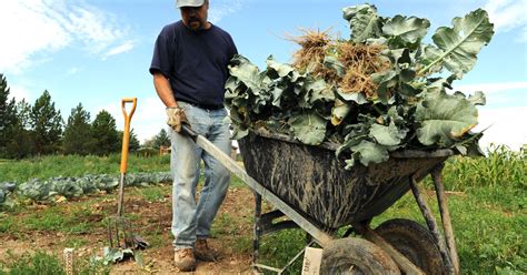 Harvest Farm needs volunteers to keep garden alive