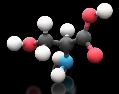 Serine Amino Acid Molecule Photograph by Carlos Clarivan/science Photo ...