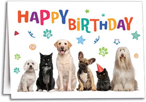 Pets Aplenty Birthday Folding Card SmartPractice Veterinary