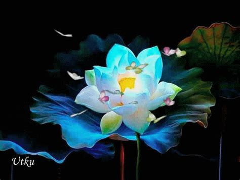 Neon Animated Lotus With Butterflies Pictures Photos And Images For