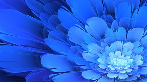 Blue Flower Wallpaper Flowers Apophysis Blue Flowers Blue Hd