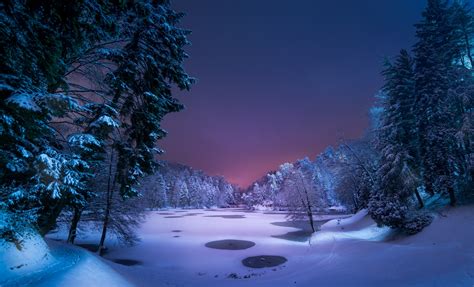 배경 화면 햇빛 경치 숲 밤 호수 자연 눈 겨울 분기 가문비 통로 전나무 동결 산 날씨 시즌