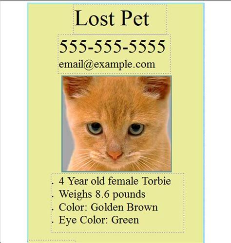 Choose one of our stunning templates or create your own custom poster from no need to worry about losing your poster elements, all your files like photos, illustrations, fonts, design source will be stored securely in the. Finding a Lost Cat