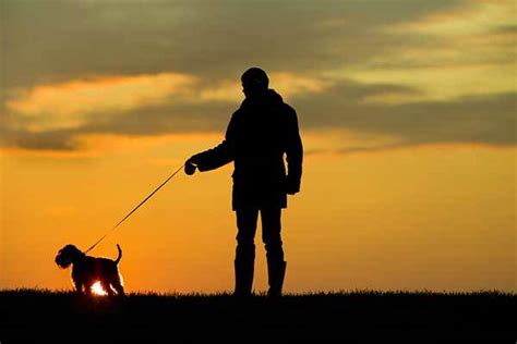 15 Tips For Walking Your Dog At Night