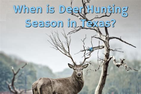 When Is Deer Hunting Season In Texas Texas Deer Hunting Season