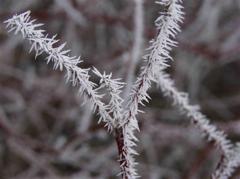 Ice Crystals Ii By Asaph70 On Deviantart
