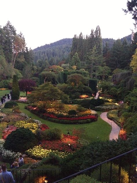 Beautiful Flowers In Butchart Gardens Located In Victoria British