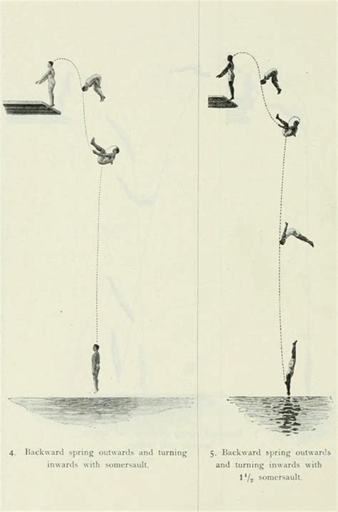 Olympic Diving Diagrams 1912 The Public Domain Review