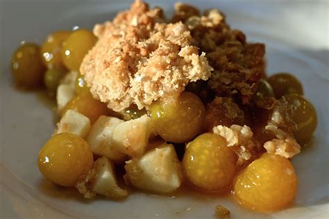 Maybe you would like to learn more about one of these? Ground Cherries: America's Fruit Secret | Ground cherry ...