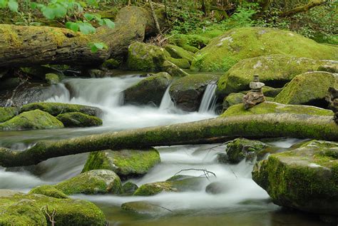 Peaceful Creek Photograph By Joye Ardyn Durham Fine Art America