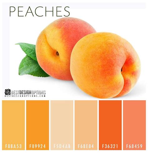 Peach is a color that is named for the pale color of the interior flesh of the peach fruit. Bright Color Palettes Inspired by Delicious Fruits | Peach ...