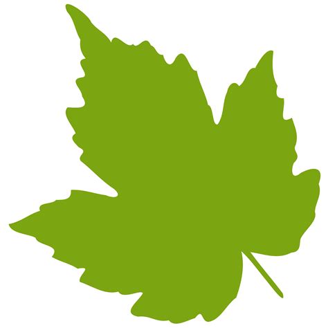 Grape Leafpng Clipart Best