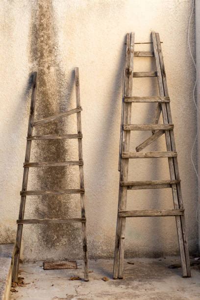 Best Old Wood Ladders Stock Photos Pictures And Royalty Free Images Istock